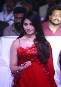 waltair veerayya pre release  7